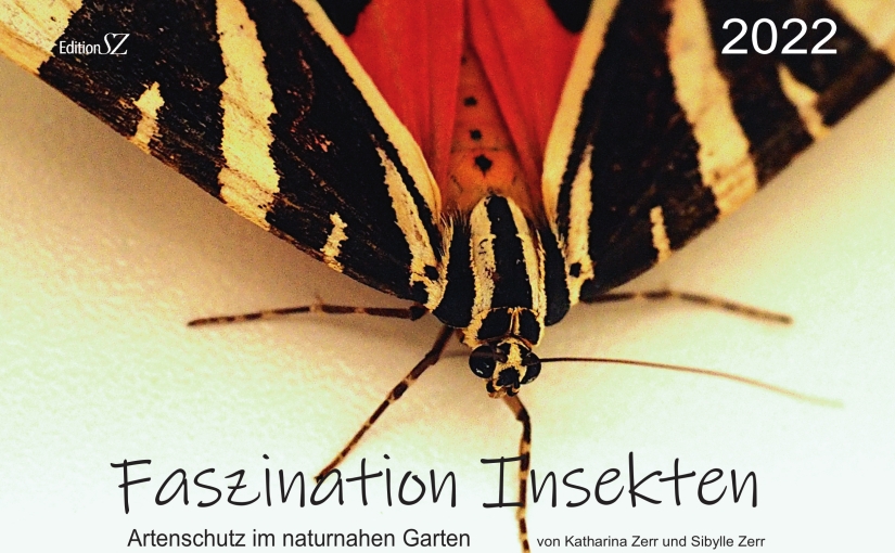Fotokalender 2022: Faszination Insekten