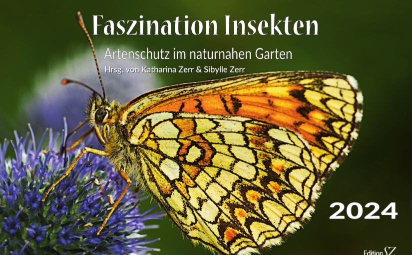 Kalender 2024: Faszination Insekten.  Artenschutz im naturnahen Garten